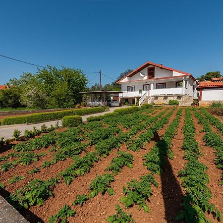 Apartament Floyd Bibinje Zewnętrze zdjęcie