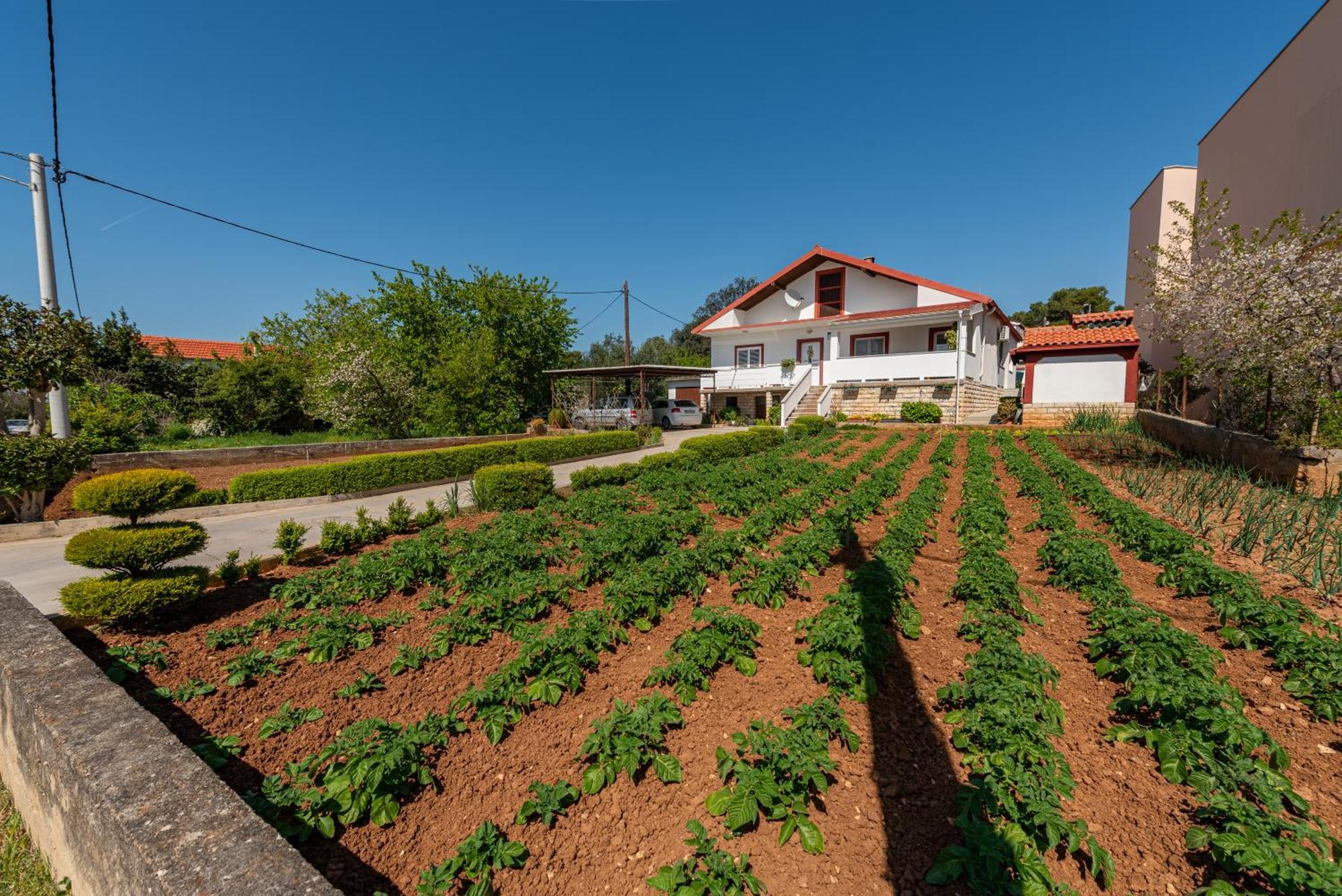 Apartament Floyd Bibinje Zewnętrze zdjęcie